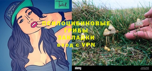 мдпв Володарск