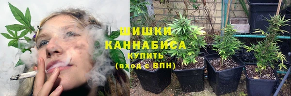 мдпв Володарск