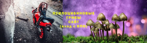 мяу мяу мука Волоколамск