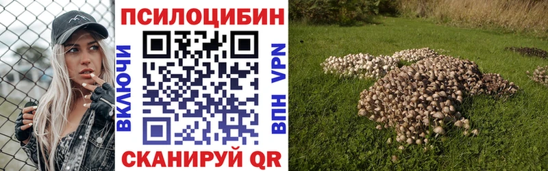 Галлюциногенные грибы Psilocybine cubensis  Болгар 
